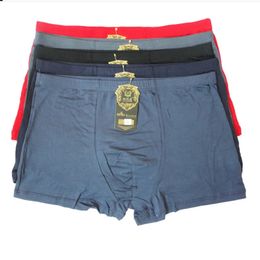 Arrival Men Boxer Underwear Plus Size Bamboo Underwear XL XXL XXXL XXXXL Size Flat Feet Panties 240117