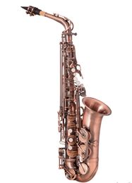 High Grade Red Bronze Bent Eb Alto Saxophone E flat Sax Carved Pattern Woodwind Instrument with Carry Case