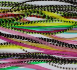 10pcs Colourful feather hair extension 714inch 100 Real Grizzly Thin Rooster Feather hair extensions For Party feather hair suppl2285521