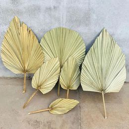 Decorative Flowers Wall Hanging Pu Fan Leaves Artificial Plants Dried Leaf Vase Decor Wooden Natural Palm