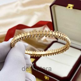 Silver Bracelet Gold Bangle Luxury Jewellery for Woman Mens 18k Rose Plated Rotatable Bullet Cuff Jewelrys Designers Gift Size 17 3R6S