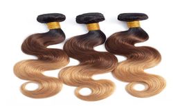 brazilian hair weft ombre human hair extensions natural human hair body wave three tone Colour 1b427 100gBundle7816755