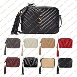 Ladies Fashion Casual Luxury Designe LOU Quilted Camera Bag Cross body Shoulder Bag TOTE Handbag Top Mirror Quality 612544 Purse P242n