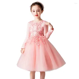 Girl Dresses Spring Autumn Long Sleeves Lace Embroidery Ball Gown Kids Mesh Dress Girls Children Flower Birthday Party Princess Tutu