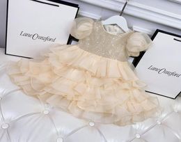 Cute Baby Girl039s Dresses Tutu Summer Kids Dress for Lace Princess Party Dresses Children039s wedding Clothing2946558