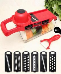 6 Blades Mandoline Slicer Vegetable Cutter Potato Onion Carrot Grater Chopper With Manual Peeler Colour Red Environment Friendly3049742971