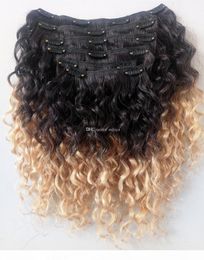 Wholes Brazilian Human Hair Vrgin Remy Hair Extensions Clip In Curly Hair Style Natural Black 1b Blonde Ombre Color3638502