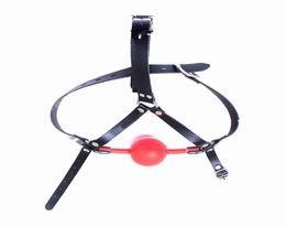 45cm Large Silicone Mouth Gag Bite Ball Stopper For Women Head Harness Locking BDSM Bondage Gear Amateur Adult Sex Toys ASLKQ0032321466