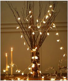 Strings Christmas Lights Blinking Indoor LED Star Fairy String Light Wedding Party Outdoor Battery Operated 10ft