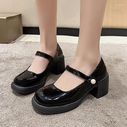 Dress Shoes Fashion Platform Pumps For Women High Heels Buckle Strap Mary Jane Woman French Thick Heeled Party Zapatos De Mujer