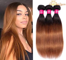 1b 30 Silky Straight Human Hair Bundles Two Tone Brazilian Ombre Hair Straight Human Hair Extension7941128