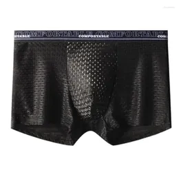 Underpants Men Underwear Mesh Boxers Shorts Cueca Ice Silk Panties Man Solid Breathable U Convex Pouch Ropa Interior Homme L-4XL