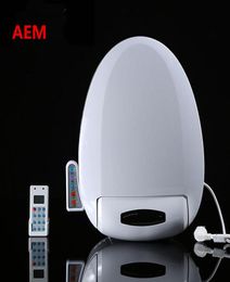 Smart Heated Toilet Seat Remote Control Intelligent Bidet Toilet Seat WC Sitz Automatic Toilet Lid Cover Female Buttocks Washing9132646