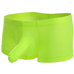 Underpants Men's Panties Ice Silk Boxer Briefs Underwear Elephant Nose Shorts Comfortaable Trunks Sensual Lingerie