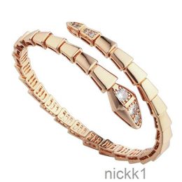 Luxury Heart Bracelet Gold Bangle Designer Diamond Bracelets for Women Snake Womens Jewelry Stainless Steel Mens Womens Engagement Wedding Gift CJML