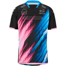 Men's T-shirts 2024 F1 Team No.10 No.33 Driver T-shirt Formula 1 Fans T-shirt New Season Racing Clothing Summer Mens O-neck Jersey T-shirt Plus Size Vz8n