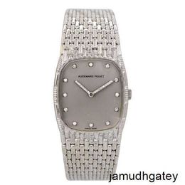 AP Wrist Watch Automatic Watch Top Wristwatch 18k Platinum Scale with Diamond Set Fashion Manual Mechanical Womens Watch Luxury Watch Swiss Watch Highend