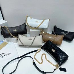 C Family's New CHARLOTTE Underarm Classic Vintage Chain Small Bag, Versatile One Shoulder Crossbody Bag 75% factory direct sales