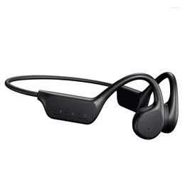 IPX8 Waterproof MP3 Player Hifi Ear-hook Headphone With Mic Headset For Swimming Bone Conduction Earphones Bluetooth Wireless 1NCDV