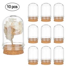 Display 10Pcs Glass Cover Dome Flower Jar Bell Cloche Transparent Display Case with Cork Base For Jewelry Beads Storage Show Home Decor