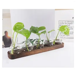 Vases Wooden Base Transparent Planters Clear Water Planting Glass For Indoor Hydroponics Plants