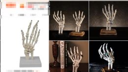 &equipments Skeleton Hand Jewellery Stand Halloween Fear Skeleton Hand Ornament Finger Adjustable Hobby Pliers Cute Beads for Bracelets