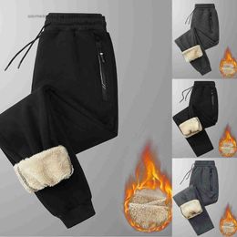 Women's Pants Capris Women Winter Lamb Fur Cashmere Sports Pants Women Casual Thicken Warm Pants Harem Pants Lined Fleece Autumn Sweatpants TrousersL2402