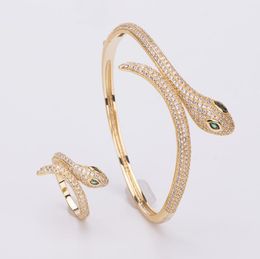 Fashion Brand Jewellery Classical Full Crystal Spirit Snake Bangles&Bracelet Simple Ring Ins Fashion Brand Hip Hop Jewellery Wholesale Retail