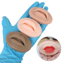 accesories 5pcs PMU Lip 3D Practise Skin Model Imitation Fake Soft Silicone Microblde Open Mould Lip Tattoo Skin for Beginners Artists