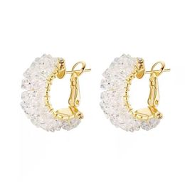 Classic Ear Ring New Fashion Earrings Women's Japanese and Korean Spring and Summer High-Grade Earrings Frosty Style Earrings