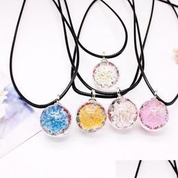Pendant Necklaces 9 Colours Dried Flower Choker Pendant Necklaces For Women Girls Black Leather Rope Chain Glass Ball Charm N Dhgarden Dhjsn