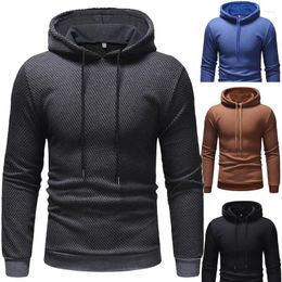 Men's Hoodies 2024 Spring And Autumn Fashion Rope Hooded Small Plaid Featured Sweater