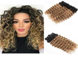 Ombre Deep Wave Remy Hair Bundles Wefts Curly 1B27 For Natural Human Hair Extensions1299587