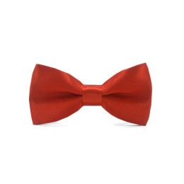 Classic Solid Color Bow Ties for Kids and Pets Fashionable Polyester Bowtie in 25 Colors Including Mint Green Red Black White ZZ