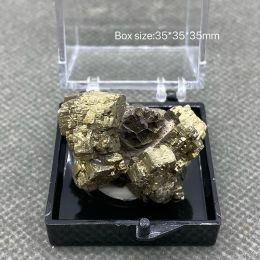 Pendants 100% natural rare Septarium stone pyrite symbiotic rough stone mineral specimen crystal gem collection
