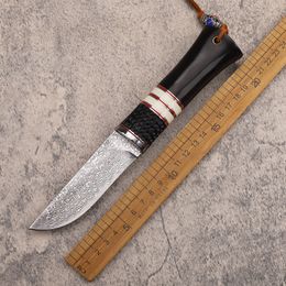 1Pcs New A2251 Outdoor Survival Straight Hunting Knife VG10 Damascus Steel Straight Point Blade Wood Handle Fixed Blade Knives with Leather Sheath