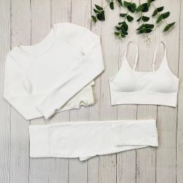 Equipment 2/3/4 Piece Ribbed Sportswear Women White Seamless Set Sports Fiess Suit Yoga Clothing Tracksuit Gym Set Workout Clothes Women