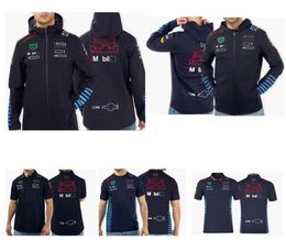 2024 New F1 Racing Sweatshirt Men's and Women's Summer Polo Shirt Same Customized
