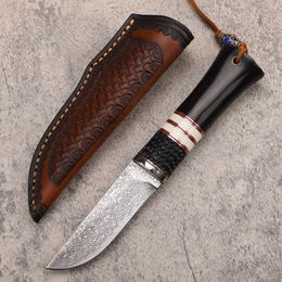 New A2251 Outdoor Survival Straight Hunting Knife VG10 Damascus Steel Straight Point Blade Wood Handle Fixed Blade Knives with Leather Sheath