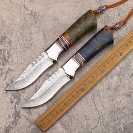 1Pcs New A2270 Outdoor Survival Straight Hunting Knife VG10 Damascus Steel Tail Point Blade Cured Wood Handle Fixed Blade Knives with Leather Sheath