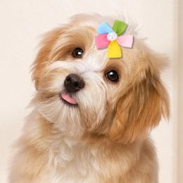 Dog Apparel 10 Pcs Pet Hairpin Clips Exquisite Small Hairpins Lovely Headdress Accessories Flower-shaped Styling Polyester Puppy