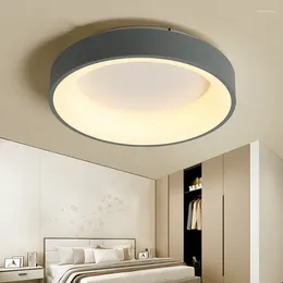 Ceiling Lights Modern Lamp Led For Living Room Bedroom Study Corridor Grey Or White Colour Lighting Light WJ10