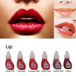 Mouldings 6pcs Microblading Lip Tattoo Ink Semipermanent Professional Tattoo Ink for Eyebrow Eyeline Pigmented Beauty Painted Accessories