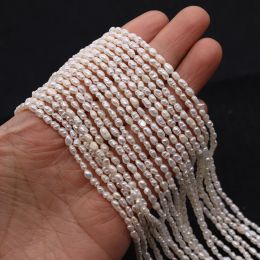 Necklaces 23mm Natural Freshwater Pearl White Rice Shape Pearl Grade A for Diy Jewelry Making Elegant Necklace Bracelet Jewelry Making