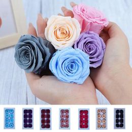 Decorative Flowers 8Pcs Preserved Rose Non-fading Realistic Eternal Flower Arrangement Gift Box For Home Party Decoration