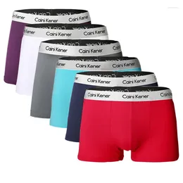 Underpants 6Pcs Men Boxers Man Short Breathable Flexible Comfortable Shorts Lovely Solid Panties