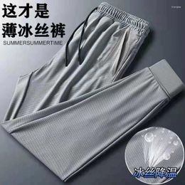 Men's Pants Summer Casual Ice Silk Mesh Breathable Sweatpants Men Stretch Air-conditioning Slim Korean Version