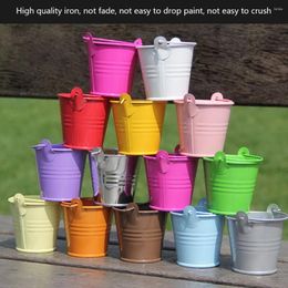 Bottles Mini Small Iron Bucket Desktop Storage Gardening Flower Pot Decoration Home Furnishings Cosmetic Box