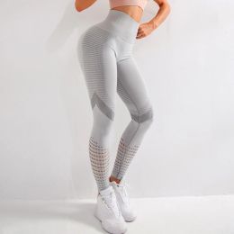 Clothing Summer Gym Mesh Breathable High Waist Tight Leggings Yoga Pants Women's Peach Hip Fiess Pants Hip Lift Running Sports Pants