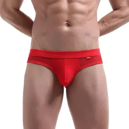 Underpants Sexy Erotic Underwear Male Briefs Men's Head U Convex Ultra-thin Transparent Breathable Low Waist Pants